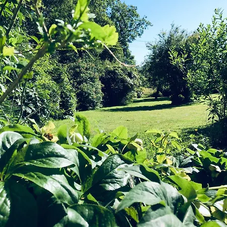 T-two Normandia Appartamento *